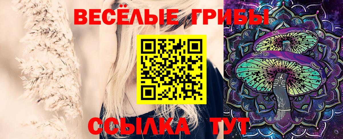 Псилоцибиновые грибы прущие грибы Дубна
